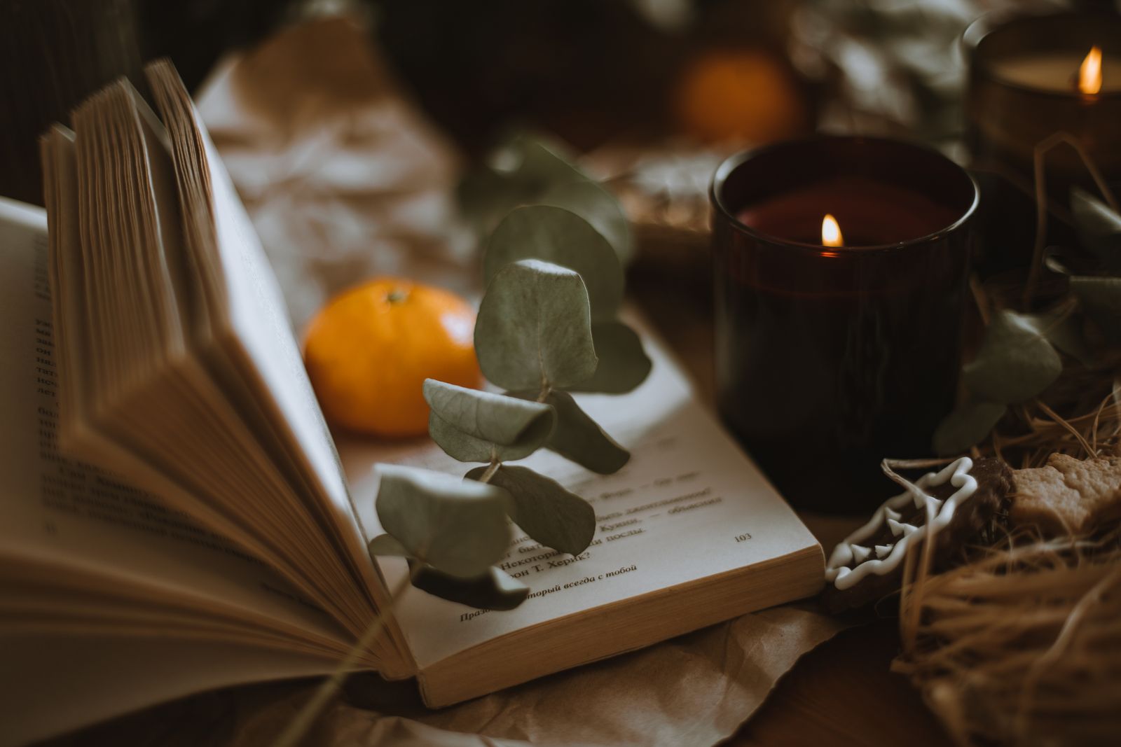 Eucalyptus sprig resting on an open book beside a lit candle in warm light